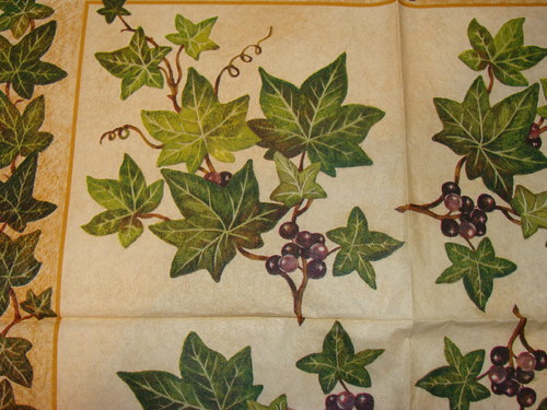 Plný břečťanu — foto 2