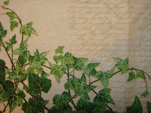Břečťan - věnec III. — foto 2