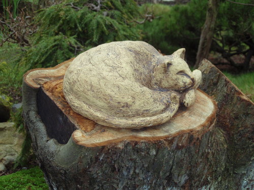 Kočička světlá odpočívá — foto 2