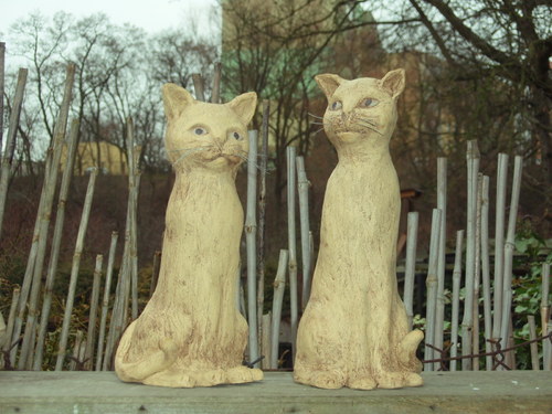 Kočička světlá — foto 2