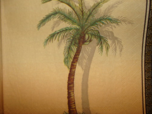 Palmy — foto 2