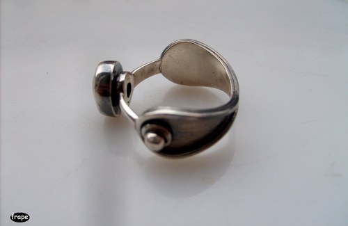 SWAN — foto 5