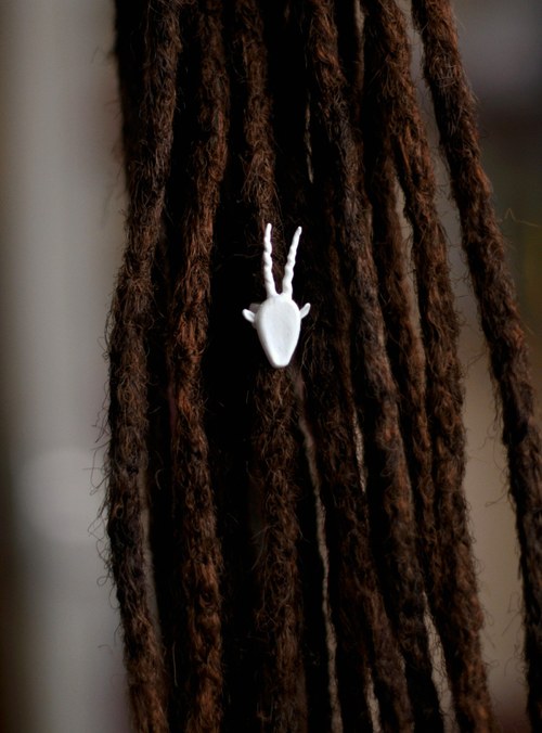 White antlers V. — foto 2