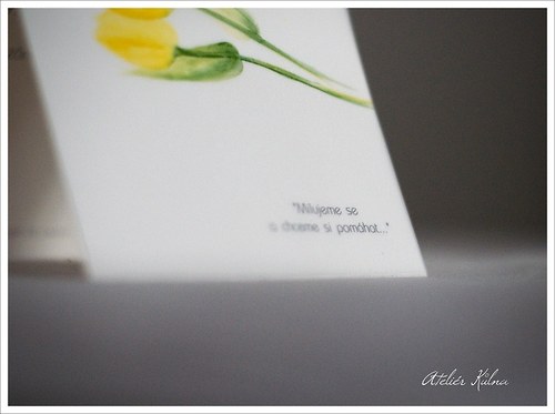 No.81 — foto 5