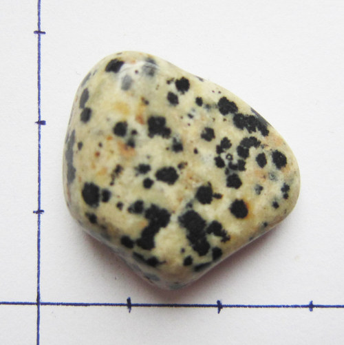 Jaspis dalmatin 25x23x8 — foto 2