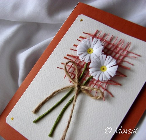 Dvě sedmikrásky... — foto 2