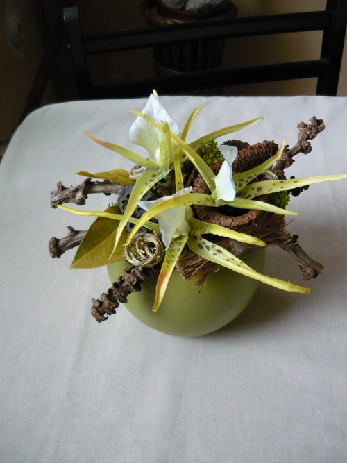 Divoká orchidea — foto 2