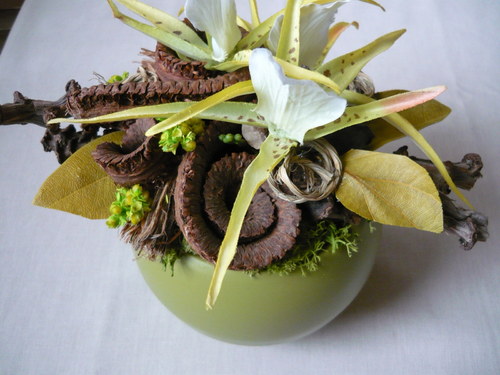 Divoká orchidea — foto 5