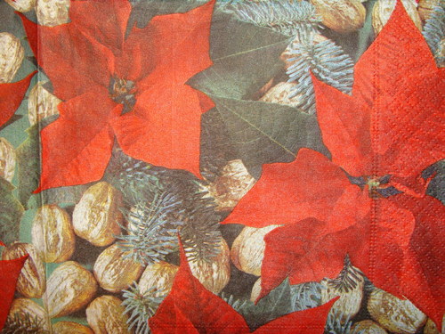 Vánoční hvězdy a ořechy — foto 2