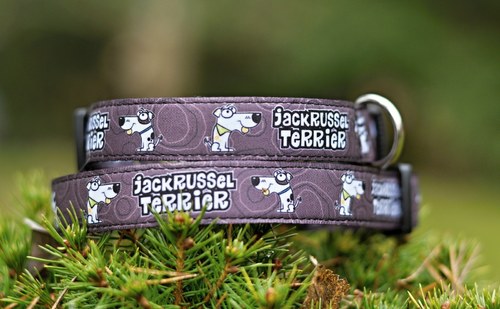 Obojek Jack — foto 2