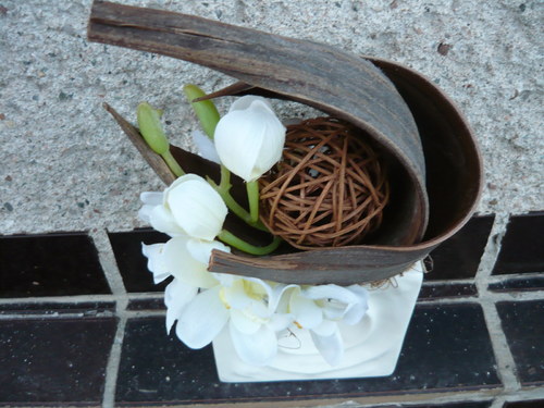 Orchidea v porcelánu — foto 2