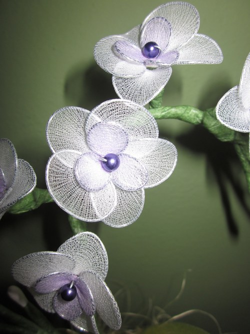 ***MINI ORCHIDEJ BÍLÁ*** — foto 2