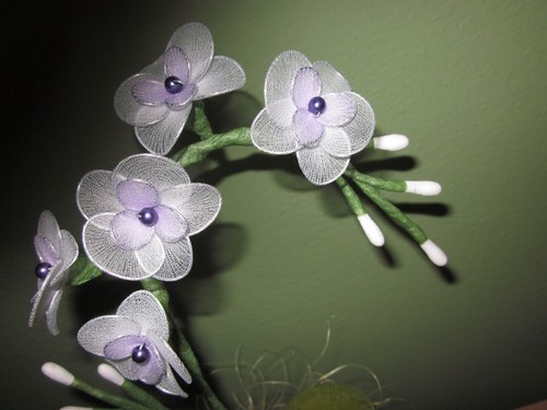 ***MINI ORCHIDEJ BÍLÁ*** — foto 3