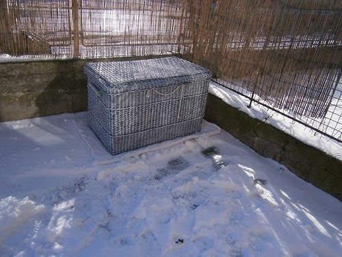Velká truhla s patinou — foto 2