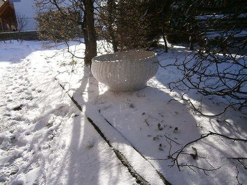 Koš na focení miminek.... — foto 3
