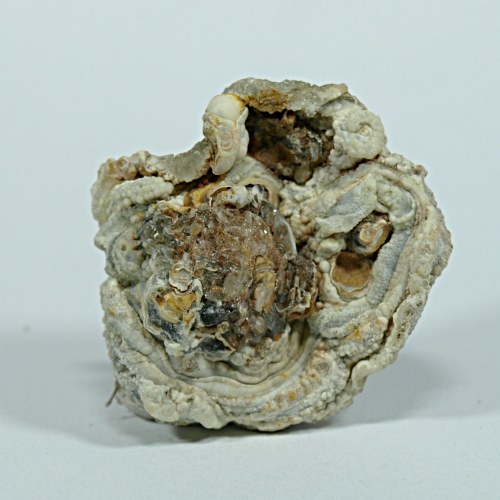 Chalcedon (kamenná růže) — foto 2