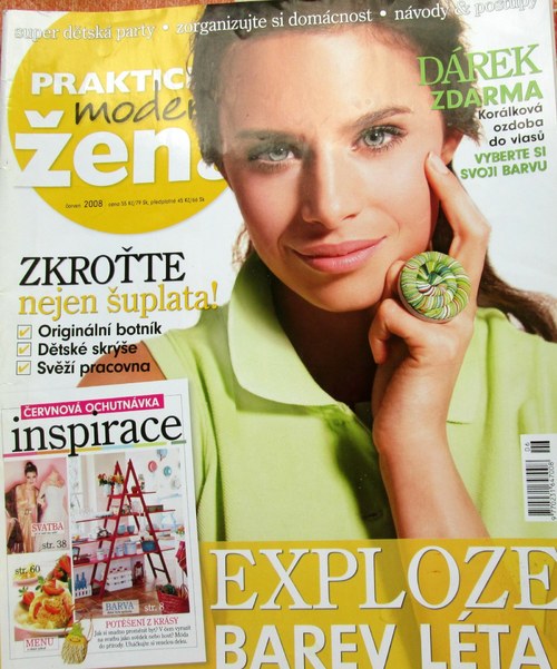 Praktická žena-6/2008 — foto 5