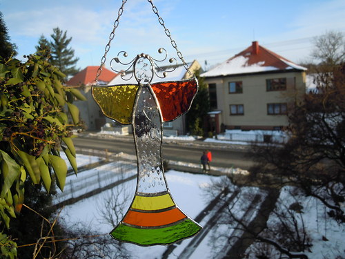Andílek popleta — foto 2