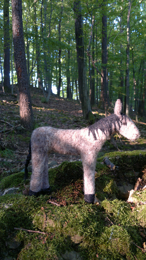 Koník — foto 3