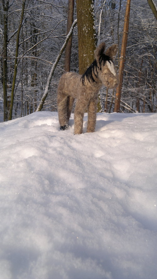 Koník — foto 4