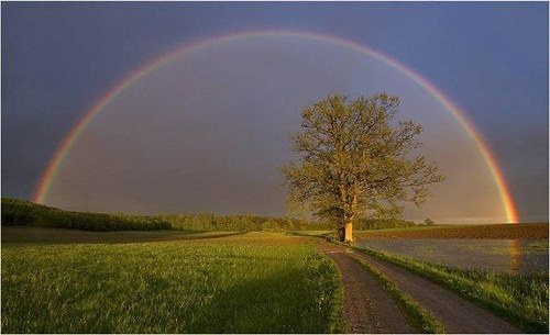 ~ Barevné..ptlíčky na mýdla..dárkové ~ — foto 5