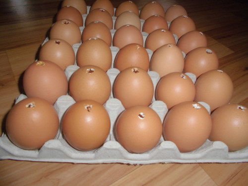 Vyfouklá vejce 30 Ks — foto 2
