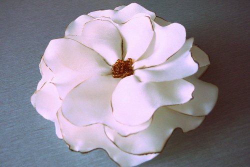 Smetanová brož. — foto 2