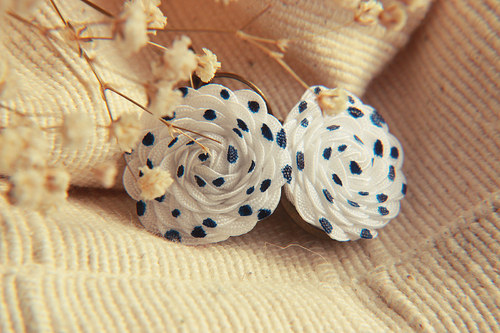 Tmavo-modré bodkovance — foto 2