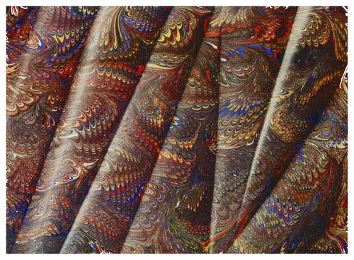 Velký Ebru hřeben 300 mm — foto 2