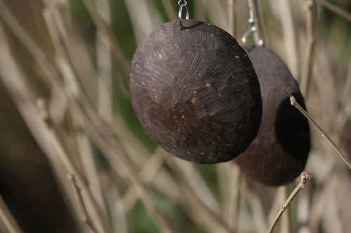Náušnice COCONUT placky — foto 3