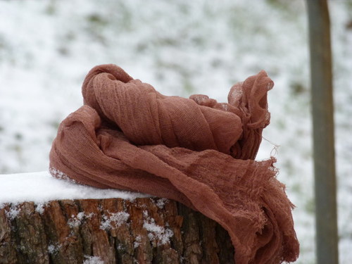 Hnědá — foto 2