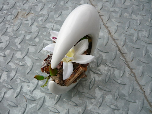 Miska Luana 18cm 2 — foto 4