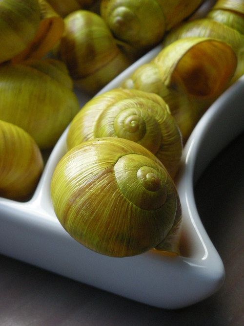 Ulity citronové — foto 2