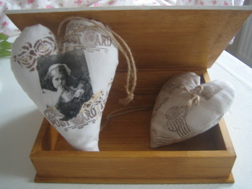 Sedmikrásková — foto 3