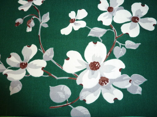 Květy magnolie — foto 2