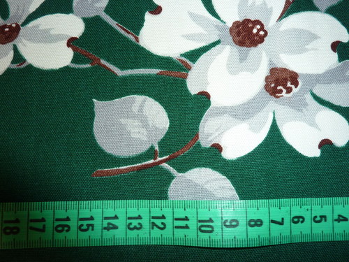 Květy magnolie — foto 3