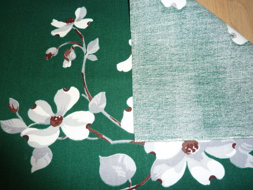 Květy magnolie — foto 4