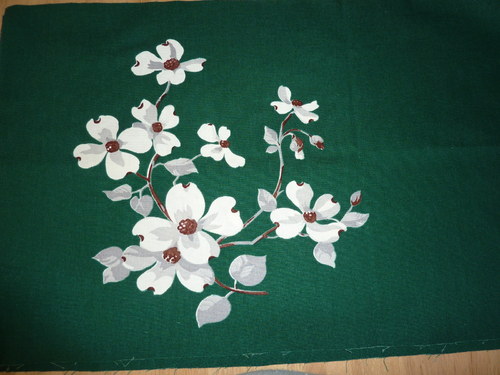 Květy magnolie — foto 5