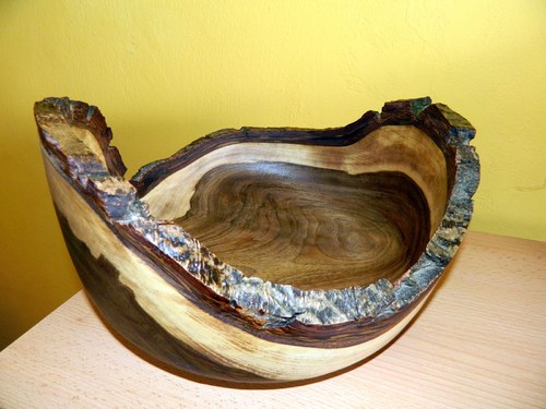 Ořechovka ušatá — foto 2