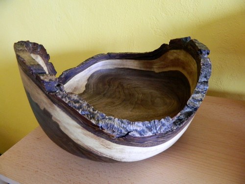 Ořechovka ušatá — foto 5