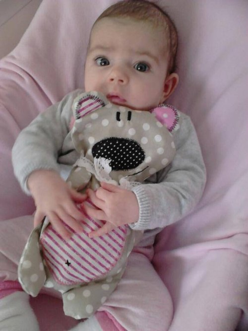 Medvídek nahříváček — foto 2