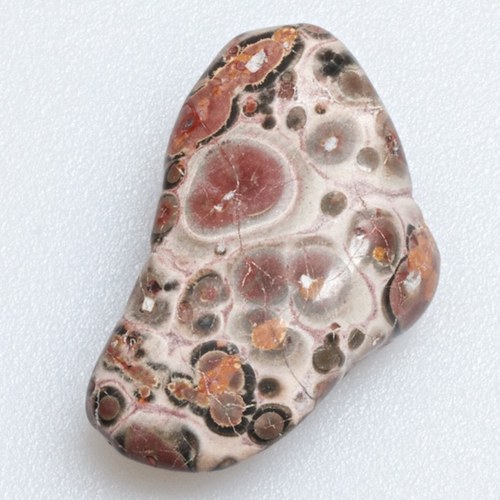 Jaspis leopardí — foto 2