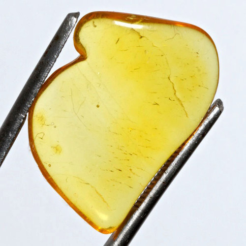Jantar přírodní — foto 2