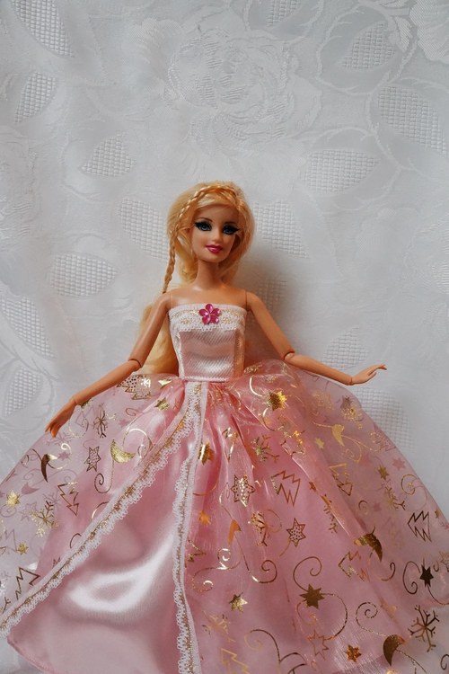 Růžová princezna — foto 2