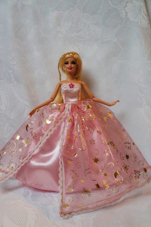 Růžová princezna — foto 4