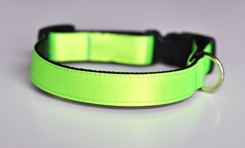 Obojek NEON zelený 25 - 35 cm — foto 2