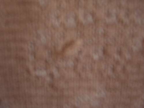 Svetřík — foto 2