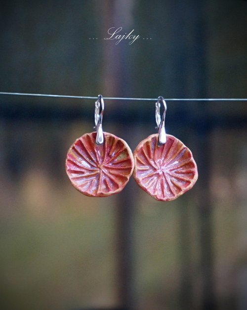Gerberky... — foto 3