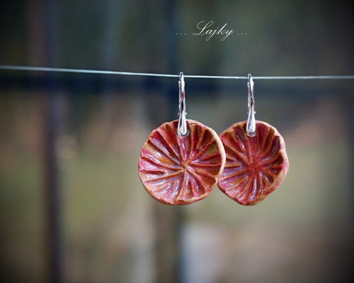 Gerberky... — foto 5