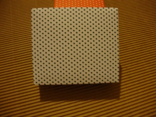 Bílozelená puntíková — foto 2